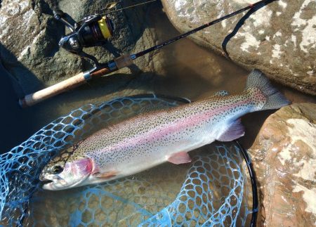 厳しいぞ ～天竜川ルアーフライ専用区～